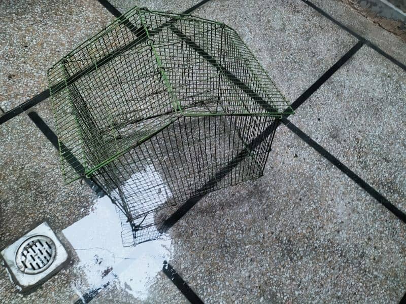 cage for sale 03084017127 1