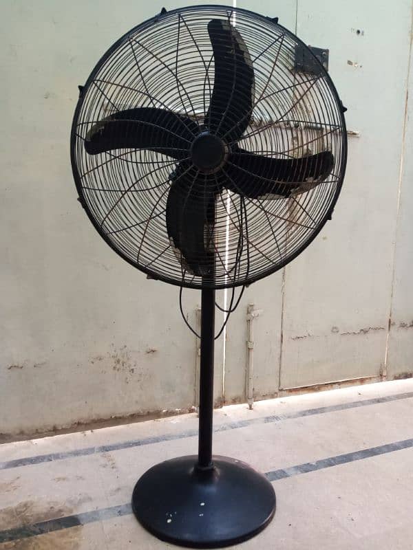 Royal Fan 24" Pedestal 1