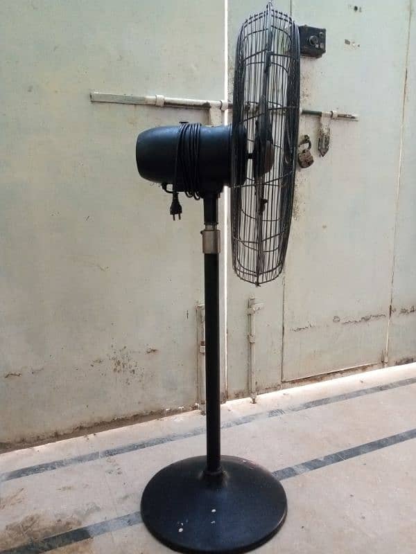 Royal Fan 24" Pedestal 2