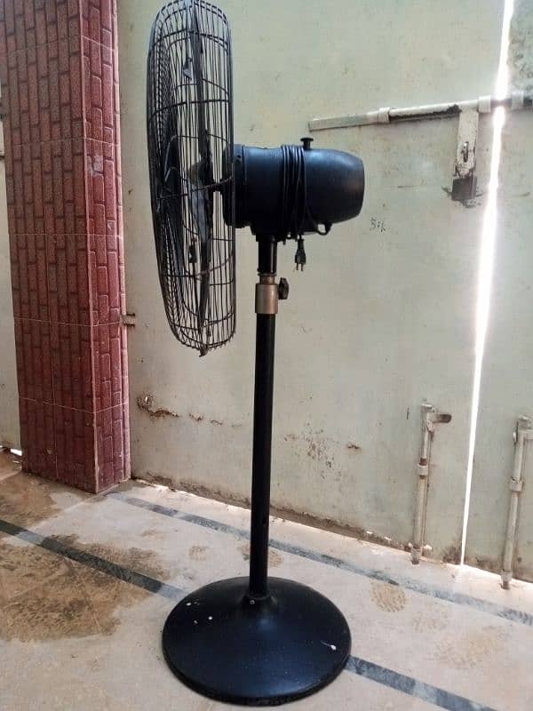 Royal Fan 24" Pedestal 3