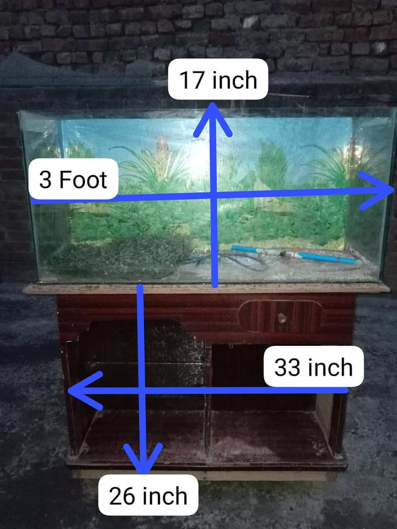 Fish Aquarium 0