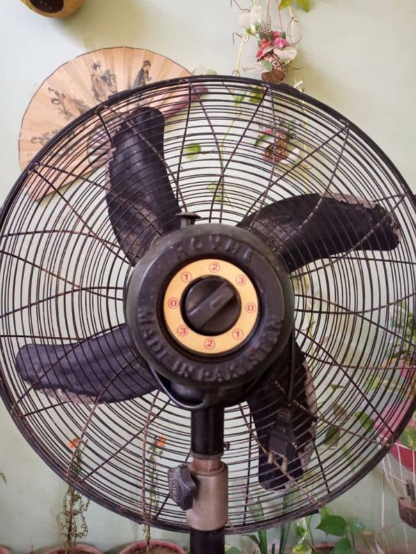 Royal Fan 24" Pedestal 4