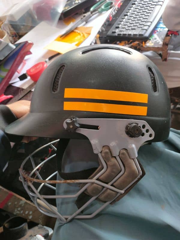 cricket helmet 2