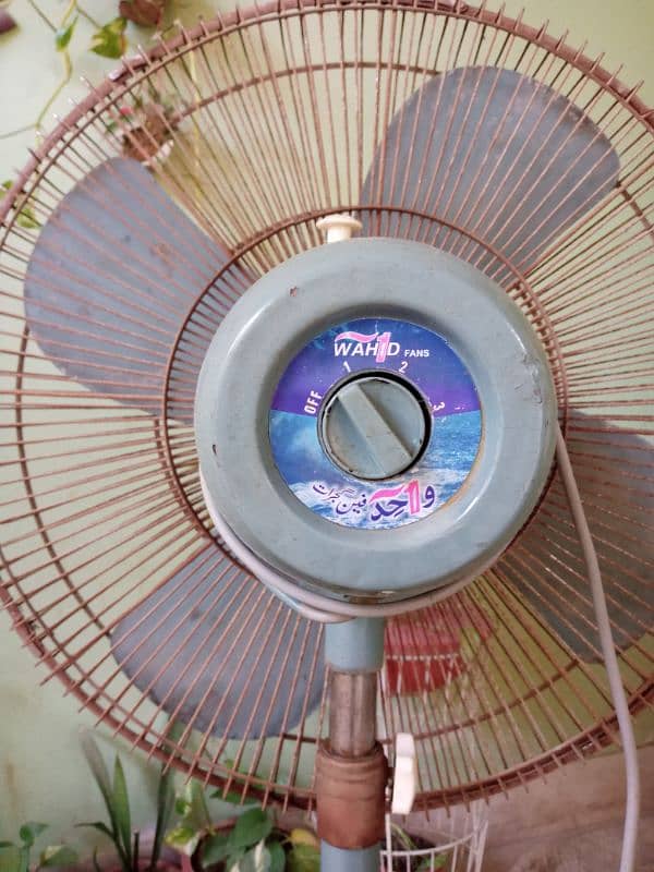 Wahid Pedestal Fan 24" 4