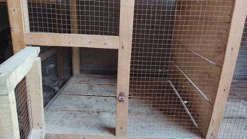 Cage | wooden Cage | parrot Cage | hen Cage 4