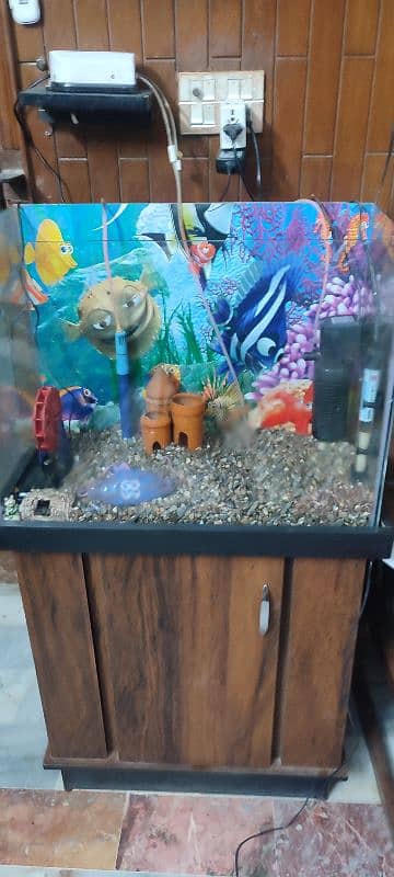 Fish with acquarium for sale with 2 big fishes 1