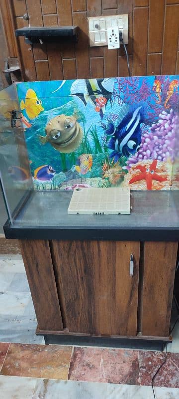 Fish with acquarium for sale with 2 big fishes 2