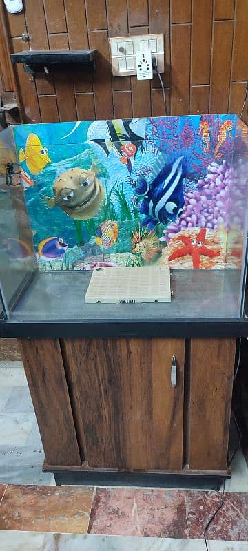 Fish with acquarium for sale with 2 big fishes 3