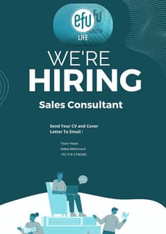 sales consultant