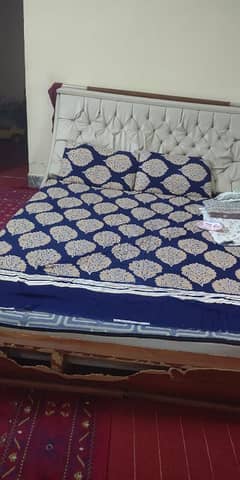 king size trendy bed