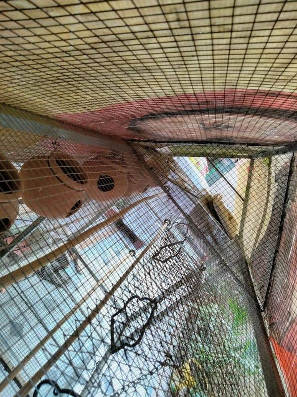 BIRDS CAGE FOR SALE BIG SIZE 8