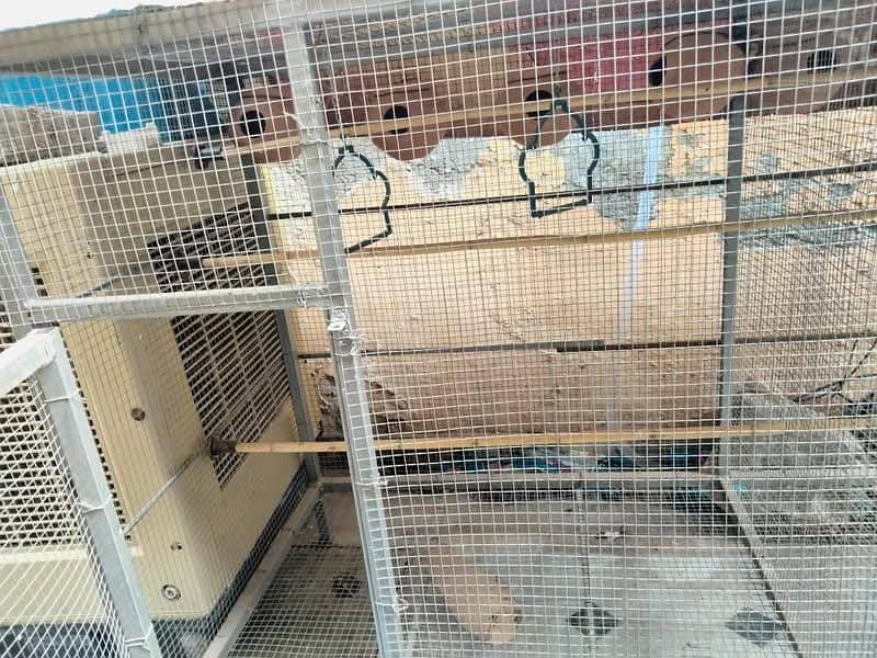 BIRDS CAGE FOR SALE BIG SIZE 9