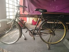 bycycle for sale