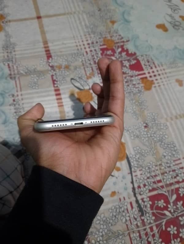 iPhone 11 non pta jv 3