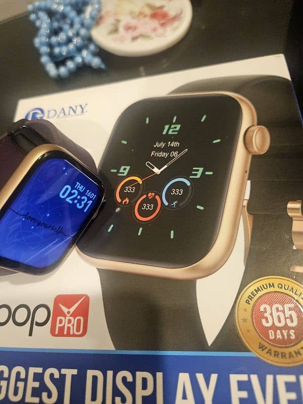 dany loop pro 1