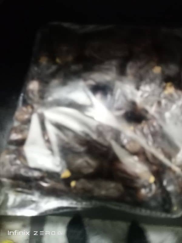 khajor chocolate available 3