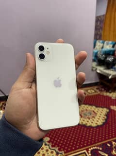 IPhone 11 64 Gb