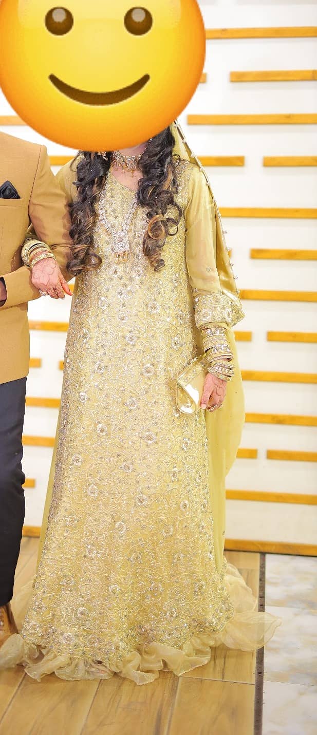 Barat and valima dress 0