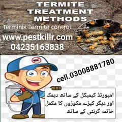 Termite/Deemak