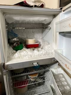 fridge