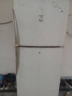 Dalwana fridge