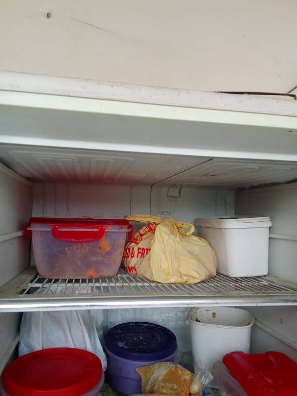 Dalwana fridge 1