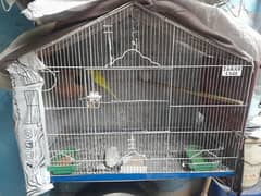 box and cage