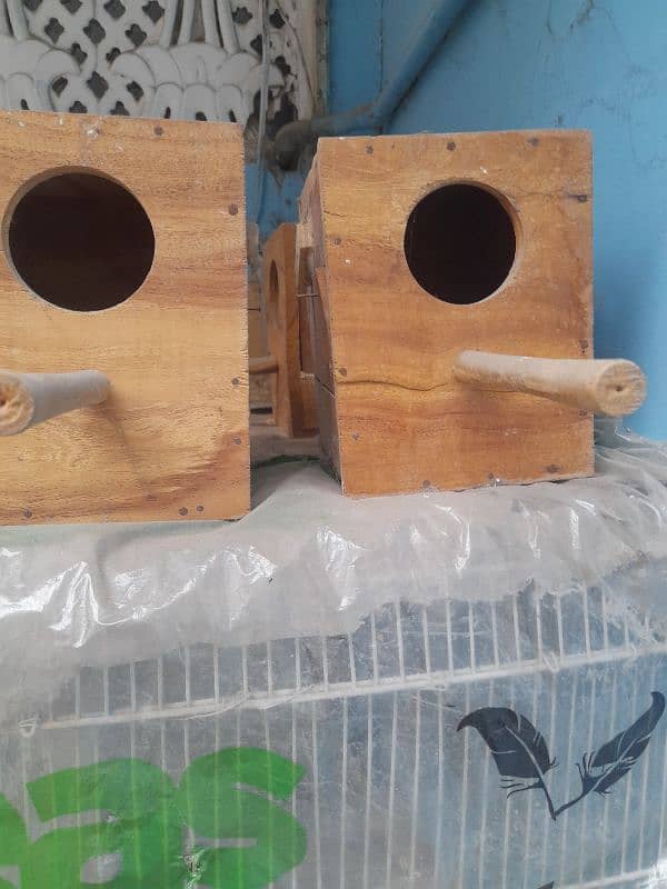 big size cage and box 2