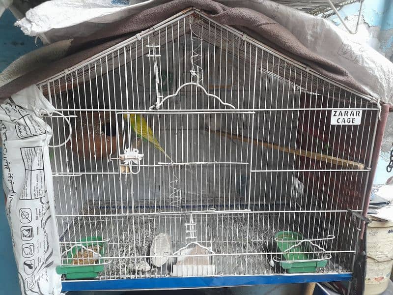 big size cage and box 4