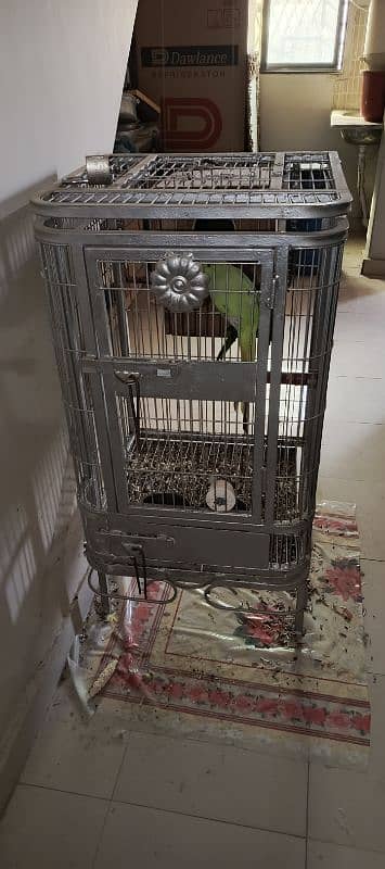 ringneck pair  + cage 11