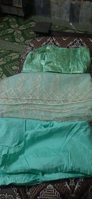 2 horse use Pista colour  maxi normal size trouser sleeves dupatta 2