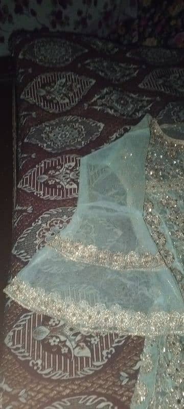 2 horse use Pista colour  maxi normal size trouser sleeves dupatta 3