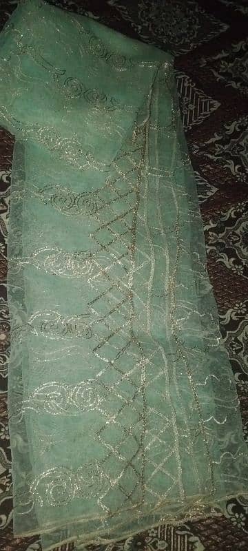 2 horse use Pista colour  maxi normal size trouser sleeves dupatta 4