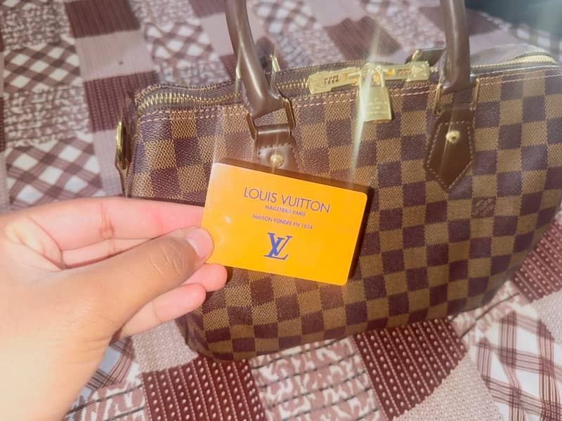 Louis Vuitton bag 2