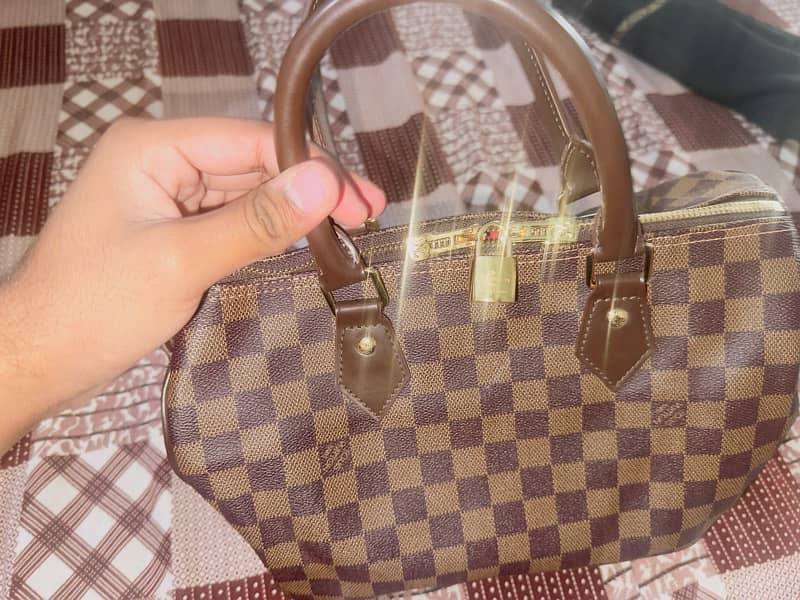 Louis Vuitton bag 3