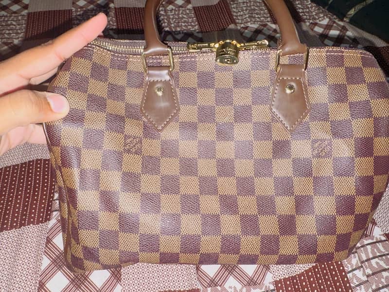 Louis Vuitton bag 5