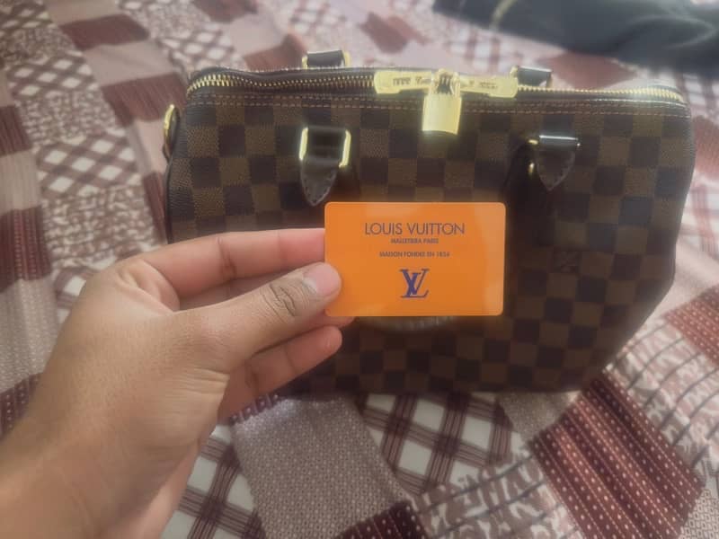 Louis Vuitton bag 6