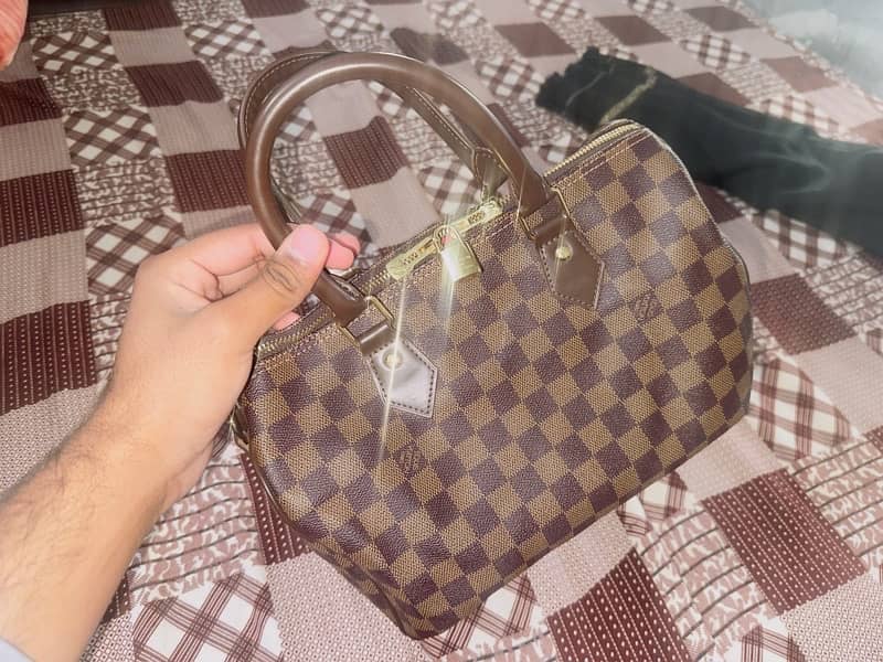 Louis Vuitton bag 7