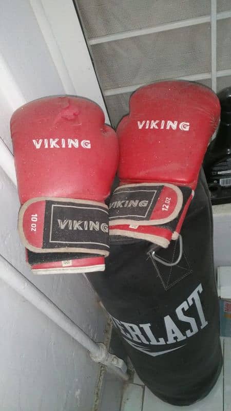 boxing bag with gloves 1