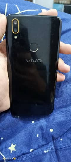 Vivo