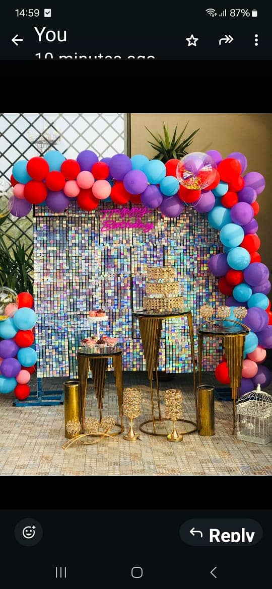 Birthday Party Decoration / Balloon Decoration / Event Planner 15