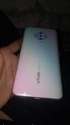 vivo