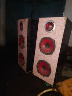 Speakers With Amplifier