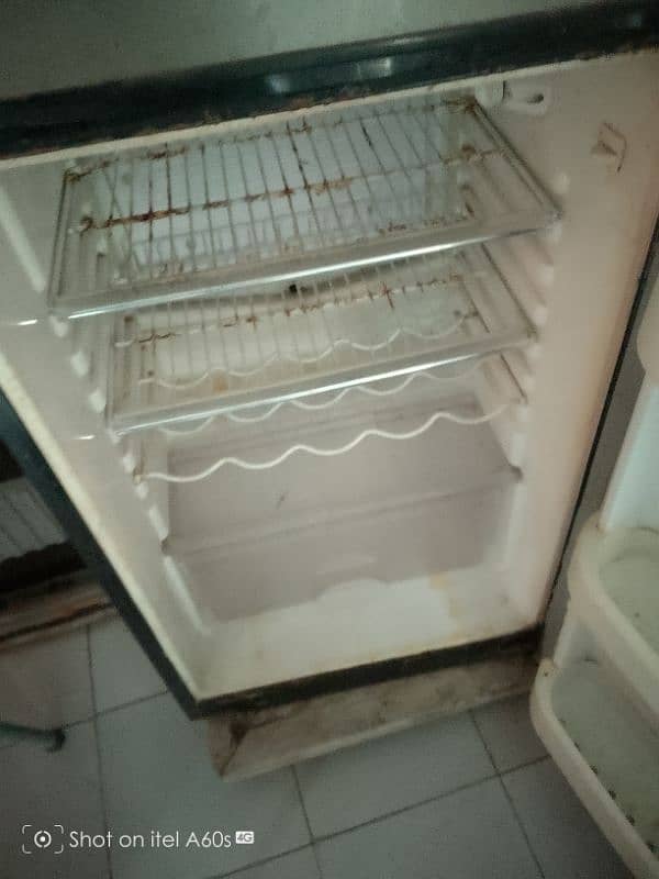 orient fridge 1