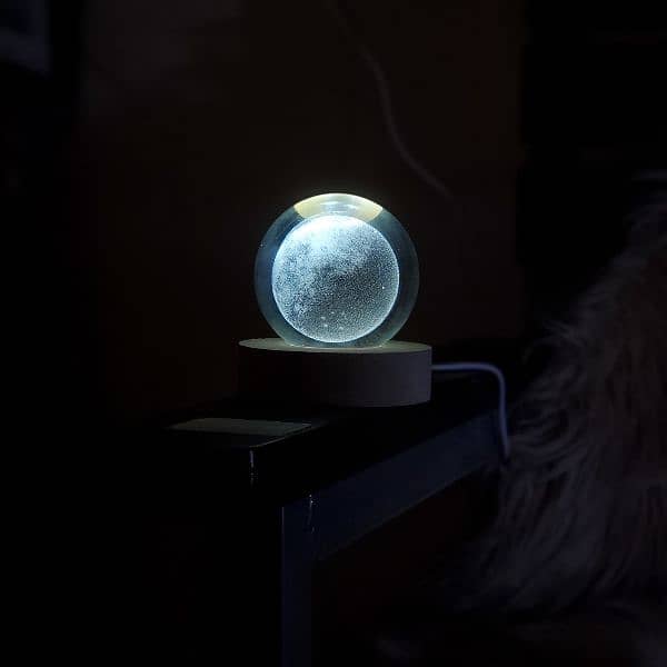 Led Moon Lamb 2