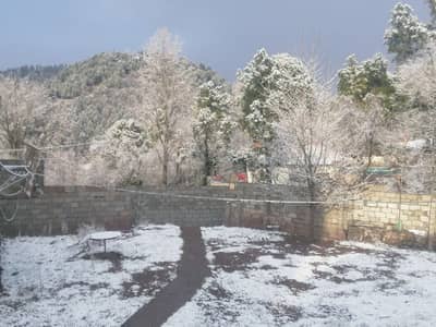 enjoy stay inmurree city seperate cottage house rooms for rent