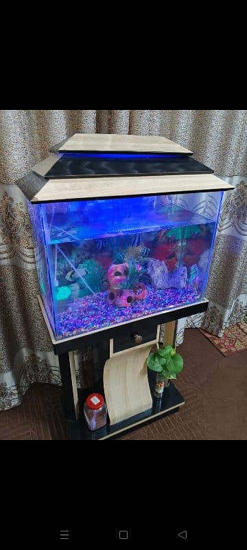 fish aquarium for sale 0