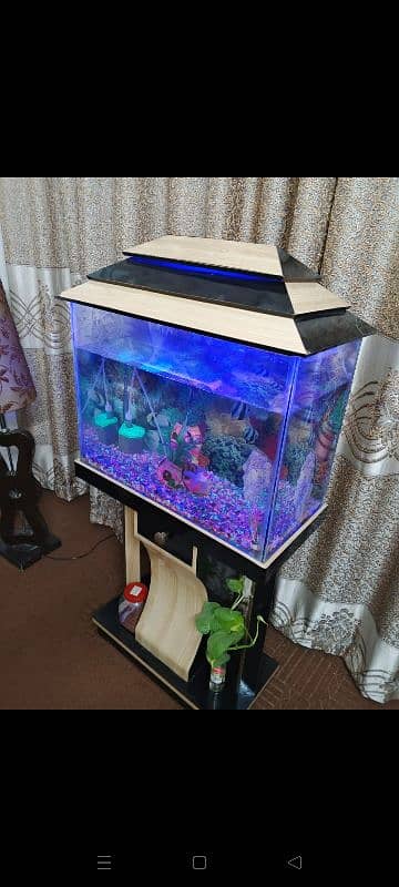 fish aquarium for sale 1