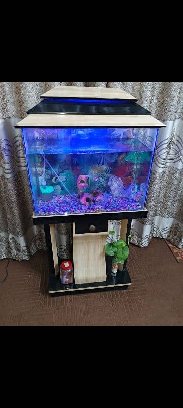 fish aquarium for sale 2