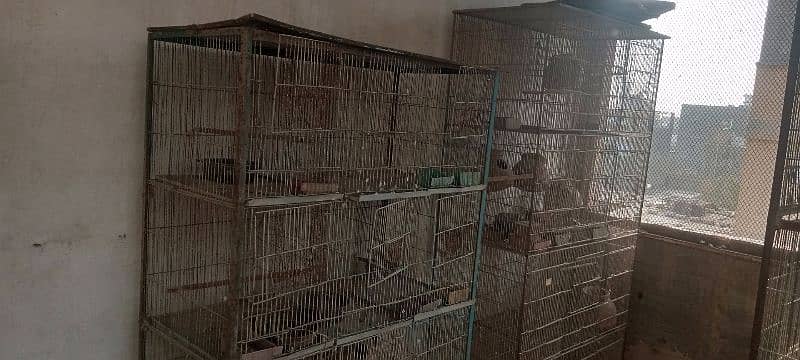 CAGES FOR SALE 2